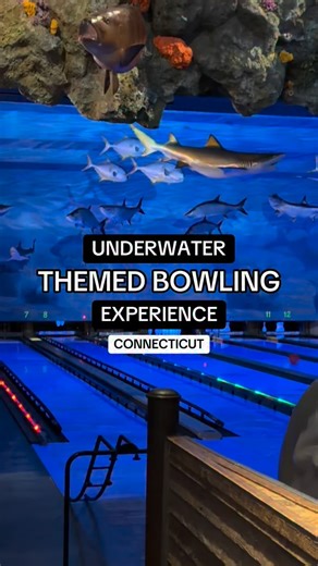 📍1 Bass Pro Dr, Bridgeport, CT | Taste Connecticut