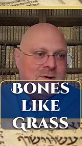 3.9K views · 146 reactions | ISAIAH 66:14 and THE RESURRECTION  Join the Scholar Club: https://www.nehemiaswall.com/scholar-club ❤️ Support Nehemia Gordon’s Research and Teachings: https://www.nehemiaswall.com/support | Nehemia Gordon | Facebook