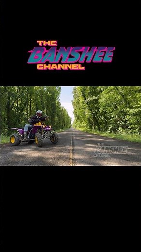 Yamaha Banshee 350 Twin