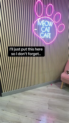 The Joy of Cat Adoption: Real Stories from Rescue Cats