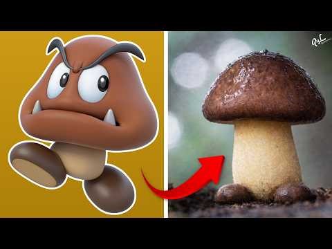GOOMBA IN REAL LIFE