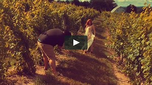 Watch Abigale Mandler Erotica in the Vines Online | Vimeo On Demand