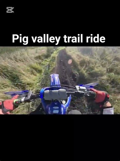 trail riding with my yamaha yz250fx #yamaha #4k #dirtking #automobile #shorts #dirtlife #dirtbiking