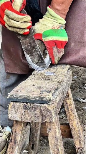 The master trims the donkey's hooves skillfully, making them clean and thorough.