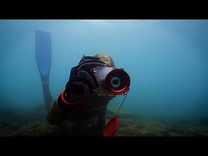 Questo subacqueo fa una scoperta che attira l'attenzione degli archeologi