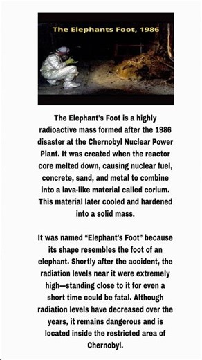 Elephant’s Foot of Chernobyl Explained | Most Radioactive Object on Earth | Chernobyl Corium