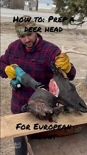How To: Prep a Deer Head for European Mount