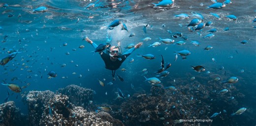 Getting to know WA's Dream Collective and some key operators