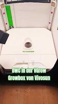 Diablo Rojo XL from Sweet Seeds in the VGrow grow box from @Vivosun Short 001