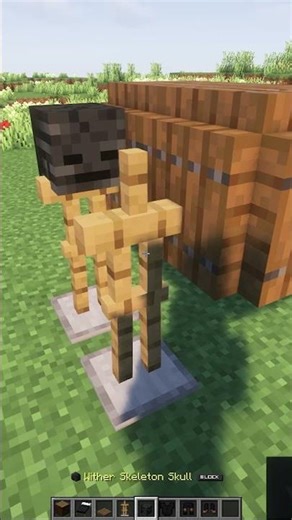 Minecraft Coffin ⚰️