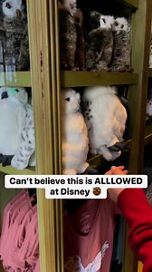 14K views · 13 reactions | How! #reels | Lifehack Reels | Facebook