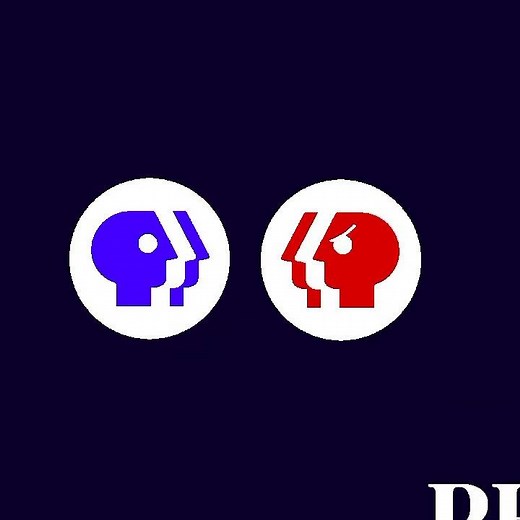 PBS 2019 angry P-head ident (parody)