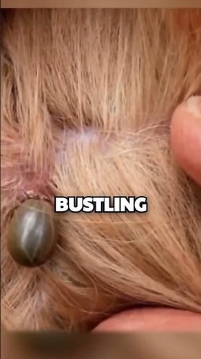 Why This Goat Is Roasting Itself—And It’s Genius!