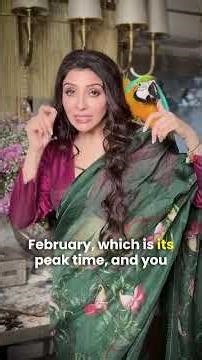 28 Feb Pushya Nakshatra: Rare Planetary Alignment Activating Love & Wisdom | Dr. Jai Madaan