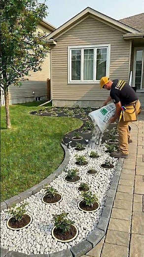 Dead Front Yard → Luxury Rose Garden With LED Lights ✨