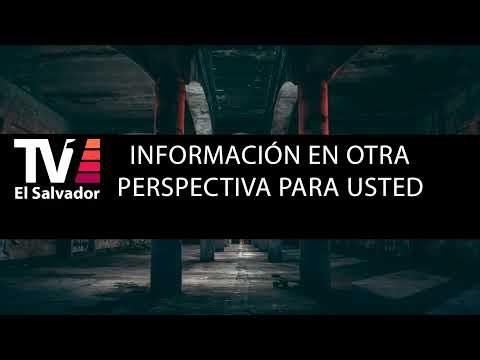 PROGRAMA ESPECIAL TV1