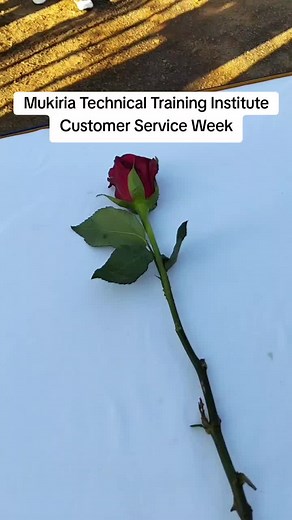 Celebrating Customer Service Week at Mukiria Technical Training Institute