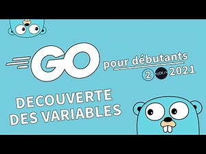 [2/??] Discovering Variables | Golang French Tutorial for Beginners 2021