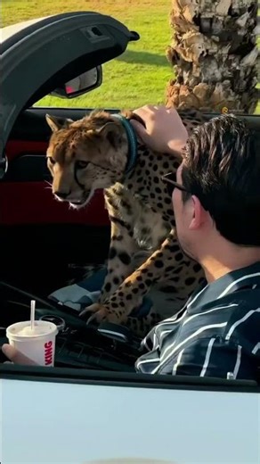 👑MASTERY👑 Like, Comment, Share 🚀 Link in Bio 🔗 #13