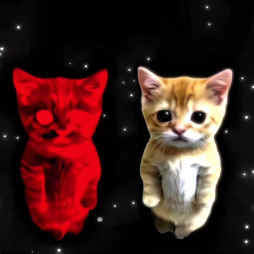 Cat trend X Jesus ? JOIN MY DISCORD SERVER link in bio| Jesus edit #fyp #viral #edit #jesus #for