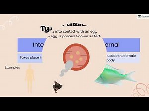 Quick Revision Reproduction in Animals Video Lecture - Science Class 8