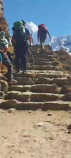 Trekking, Everest Base Camp, Sherpa Expedition & Trekking from Sherpa P. 🇳🇵