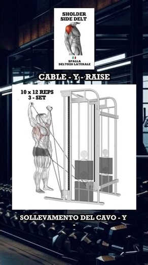 Shoulder Training Frequency: How Often Should You Train Shoulders?