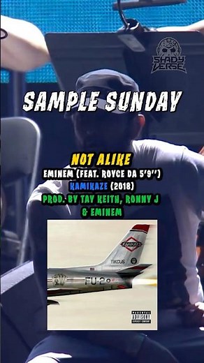 Eminem Feat. Royce Da 5'9" - Not Alike [Sample Sunday]
