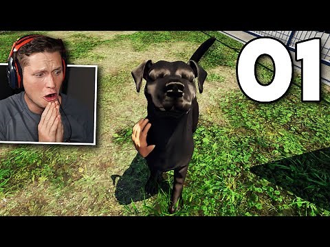 Animal Shelter Simulator - Part 1 - The Beginning