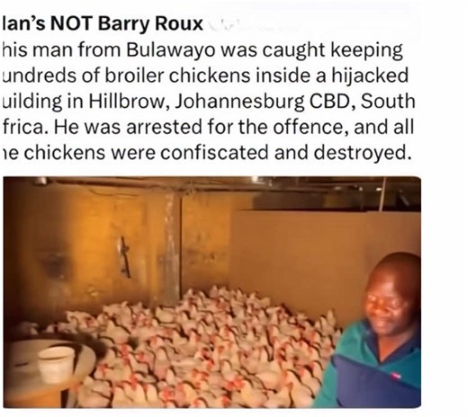 Breaking News in South Africa: Latest Updates Today