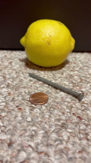 How to make a lemon battery #howto #lemon #lemonbattery #diy