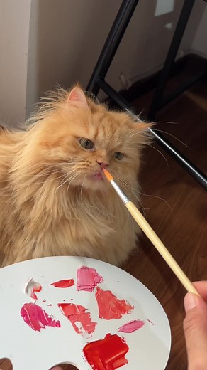 Wardah Beauty Official on TikTok