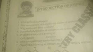 INTRODUCTION OF AMINES What is Hinsberg Reagent? Give one examp... | Filo