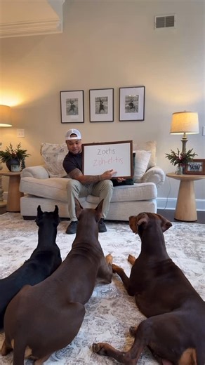 Suave Xavier on Instagram: "Check out the @zoetispetcare Breed Explorer and JeoPAWdy trivia, where you can learn all about your pet’s breeds & have fun! 🐾 #thisispetcare #ad"