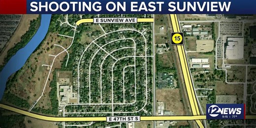 Woman, dog shot in drive-by shooting.