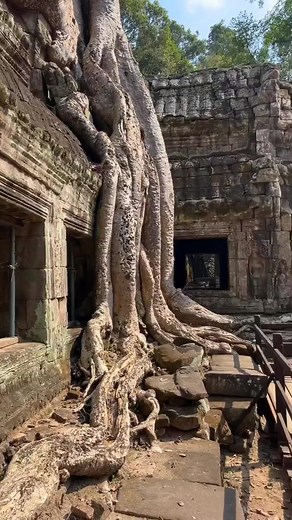 bestofcambodia នៅលើ TikTok