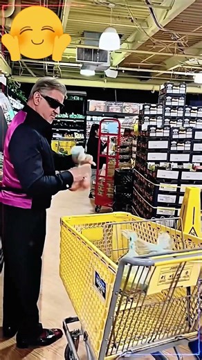 How Did Sly Hand-Seal It Green? Special Skills?? 🤯🔥