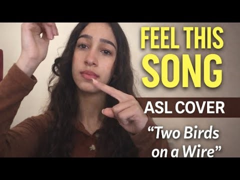 You’ve Never Felt “Two Birds on a Wire” Like This | ASL Cover 🤍