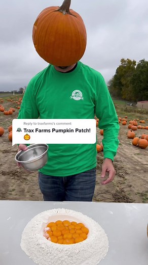 Exploring Trax Farms' Pumpkin Patch with PetersPasta!