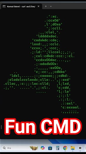Fun CMD Forrest Tricks