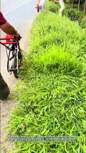 가로 환경 정비를 위한 전동식 수직 예초 작업 #worker #process #maintenance #gardening #landscaping