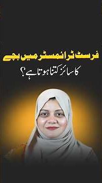 First Trimester Baby Size Week by Week | What Every Mom Should Know