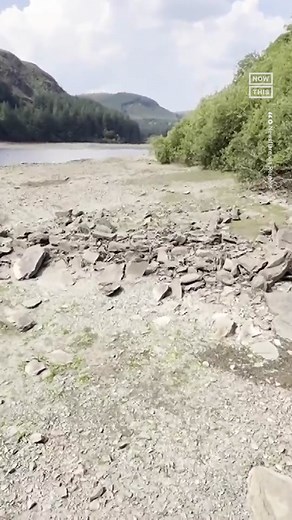 NowThis Earth on TikTok