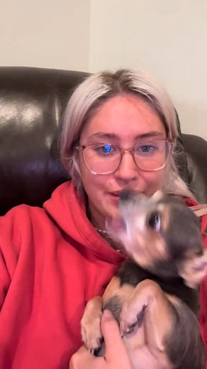 Who hits the bigger note #animals #dog #pets #jokes #comedy | Hermes With A Madi