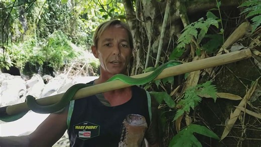 Night herping expedition leads to discovery of incredible snake species