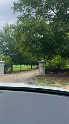 The drive up to Berry Hill in South Boston, Virginia. #oldhouselife #southbostonva | Old House Life - Michelle Bowers