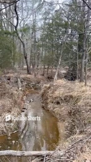 16K views · 32 reactions |  **New Hunting Lease Alert – Chester...