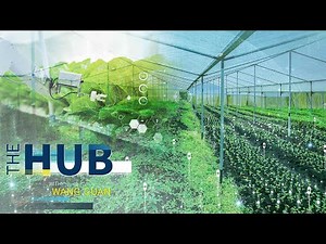 China's new agricultural code and the breed of new farmers