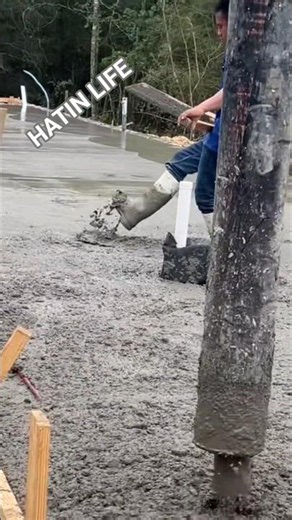 WHAT A SH!T SHOW
