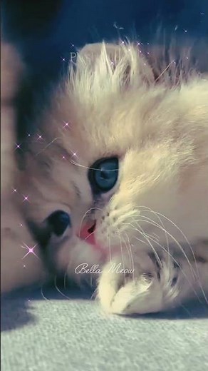 Hello, how do you do?!?